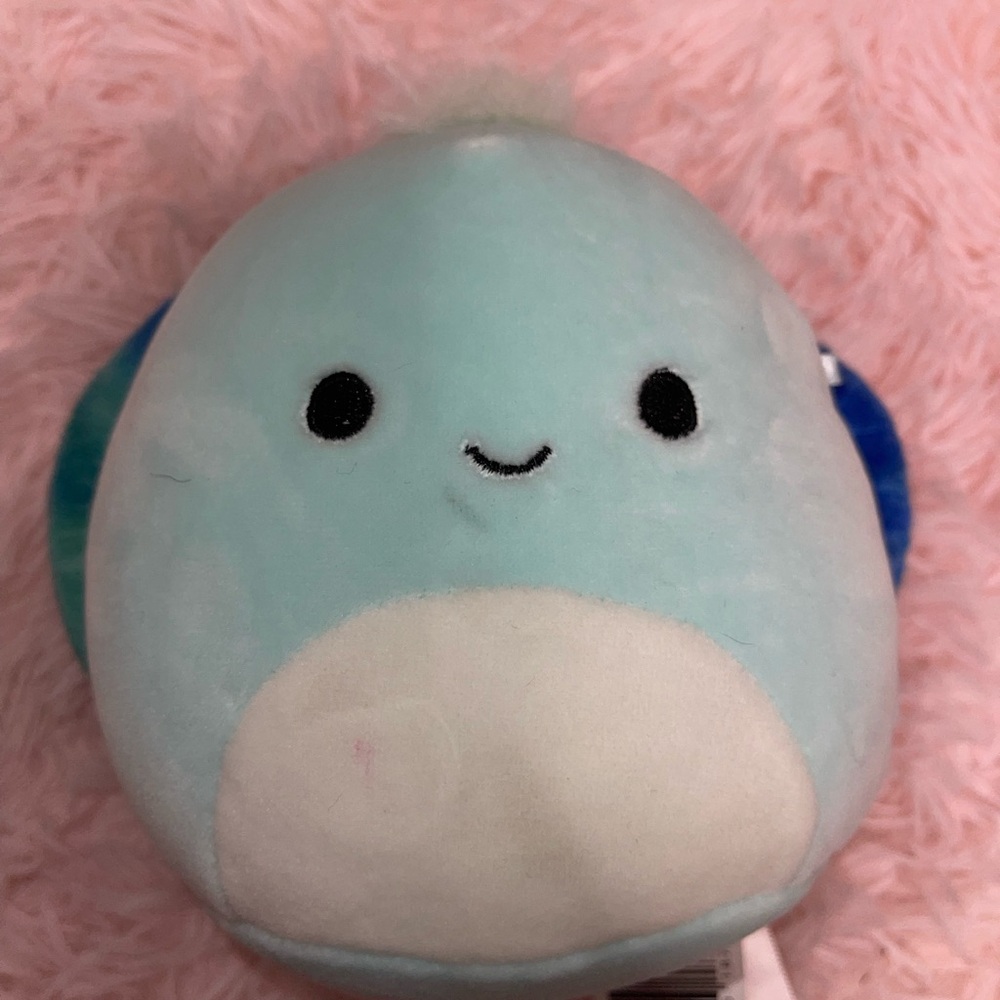 Turtle Squishmellow NWOT